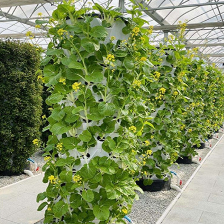 Commercial Greenhouse Application