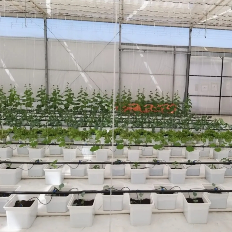 Scenario 4